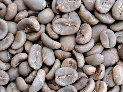 Arabica Gayo Natural Arabica Gayo Natural