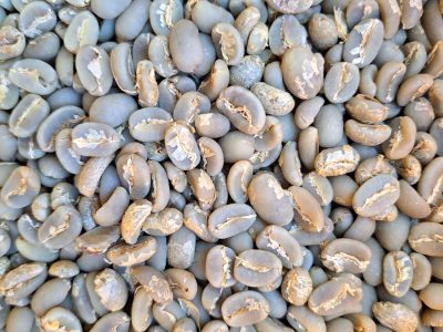 Arabica Gayo Semiwash Grade #1 Arabica Gayo Semiwash Grade #1